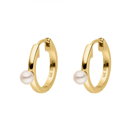 Produktbild von NanaKay-Ohrringe-FG189