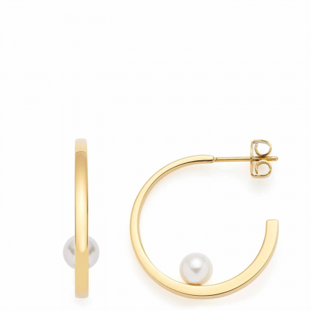 Produktbild von Leonardo-Ohrringe-024332