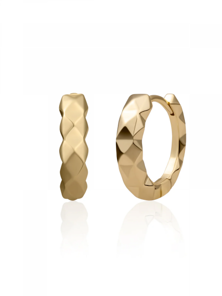 Produktbild von Sparkling-Ohrringe-EAG29