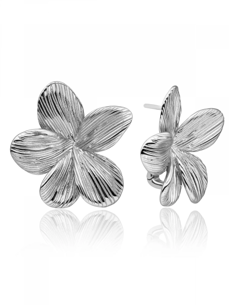 Produktbild von Sparkling-Ohrringe-EAS37