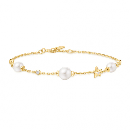 Produktbild von Ania Haie-Armband-B065-05G