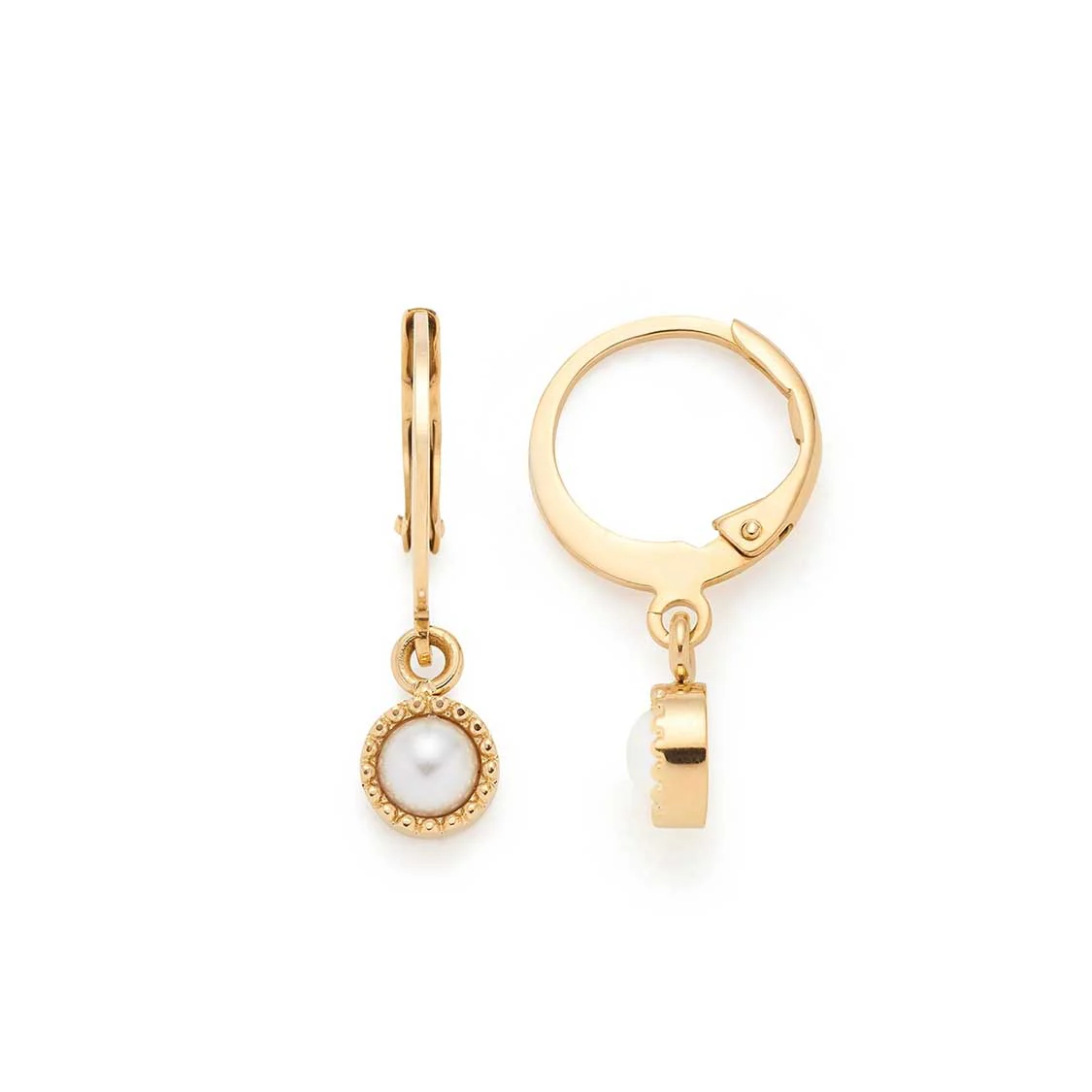 Produktbild von Leonardo-Ohrringe-026221