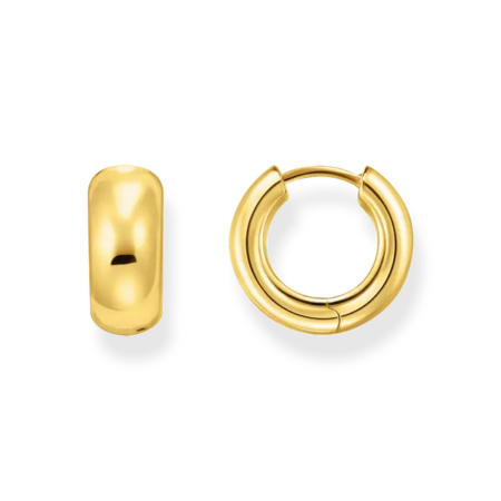 Produktbild von Thomas Sabo-Ohrringe-CR741-413-39