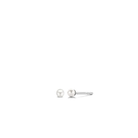 Produktbild von Ti Sento-Ohrringe-7841PW