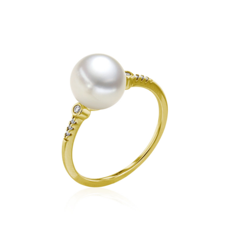 Produktbild von Ring-005.1073