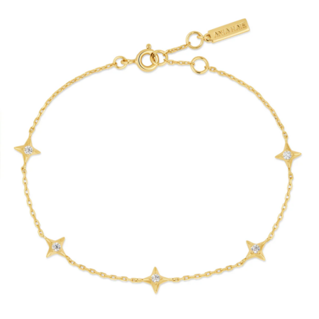Produktbild von Ania Haie-Armband-B061-02G