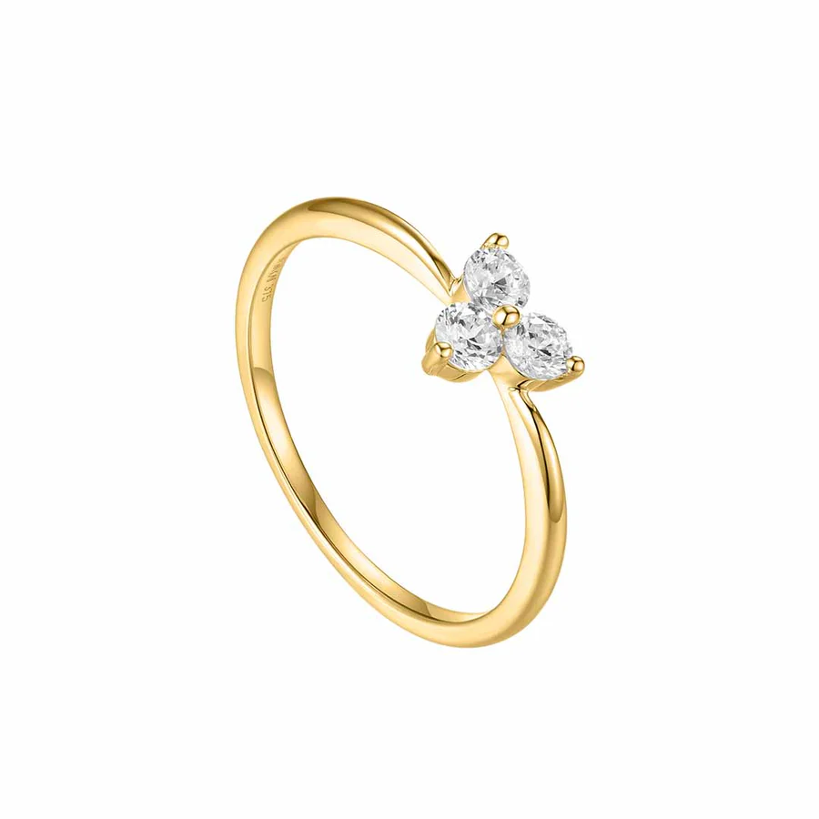 Produktbild von NanaKay-Ring-FG341-56