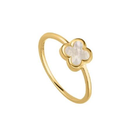 Produktbild von NanaKay-Ring-FG231-56