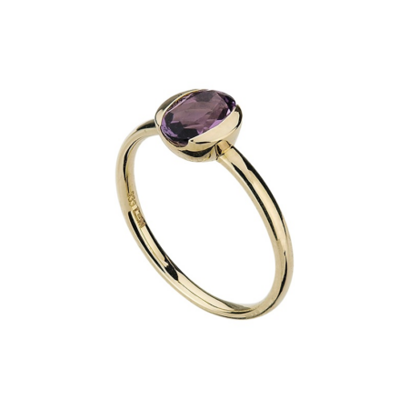 Produktbild von Ring-G5-00904R