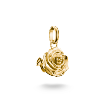 Produktbild von Thomas Sabo-Anhänger-CC1263-413-39