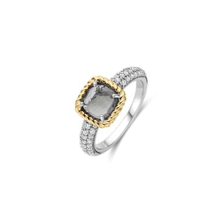 Produktbild von Ti Sento-Ring-12399GG/54