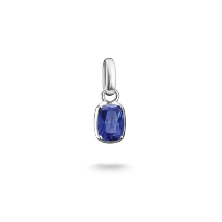 Produktbild von Thomas Sabo-Anhänger-CC1337-699-1
