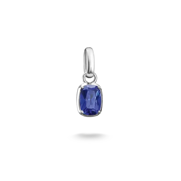 Produktbild von Thomas Sabo-Anhänger-CC1337-699-1