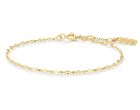 Produktbild von Ania Haie-Armband-B073-02G