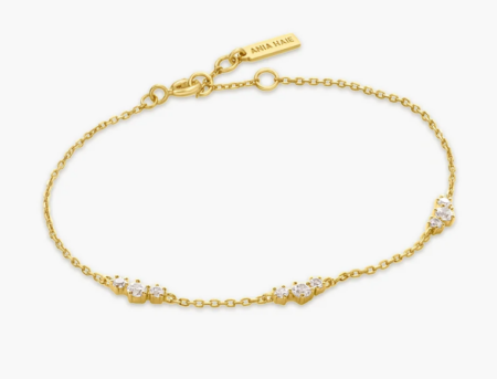Produktbild von Ania Haie-Armband-B079-01G