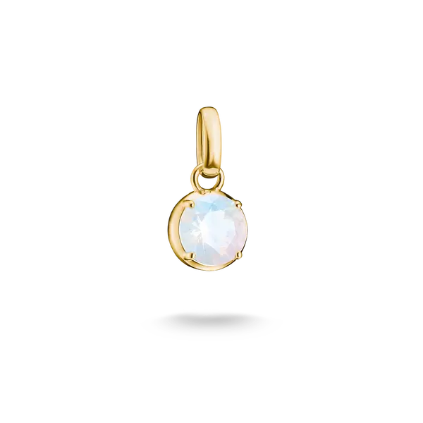 Produktbild von Thomas Sabo-Anhänger-CC1334-M01-14